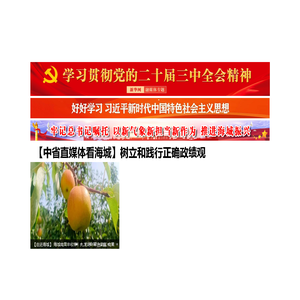 海城网