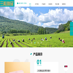 三粒臻品 | 华中生物科技（郑州）有限公司 — 专注本草膳食，严选品质好物